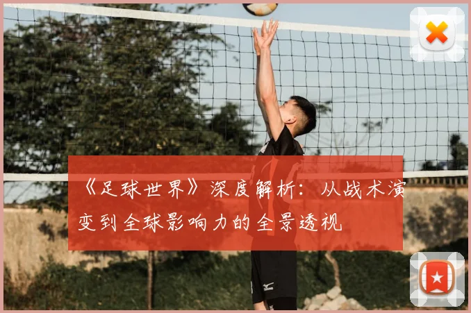 《足球世界》深度解析：从战术演变到全球影响力的全景透视